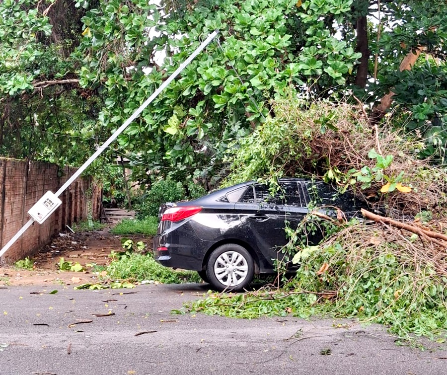 Em meio a temporal, árvore cai em cima de carro no Centro de Porto Velho