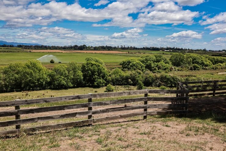 Justiça manda desocupar fazenda em Porto Velho e destina área à reforma agrária