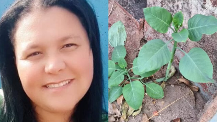 Morre mulher que comeu "couve falsa" por engano em Patrocínio, no Alto Paranaíba
