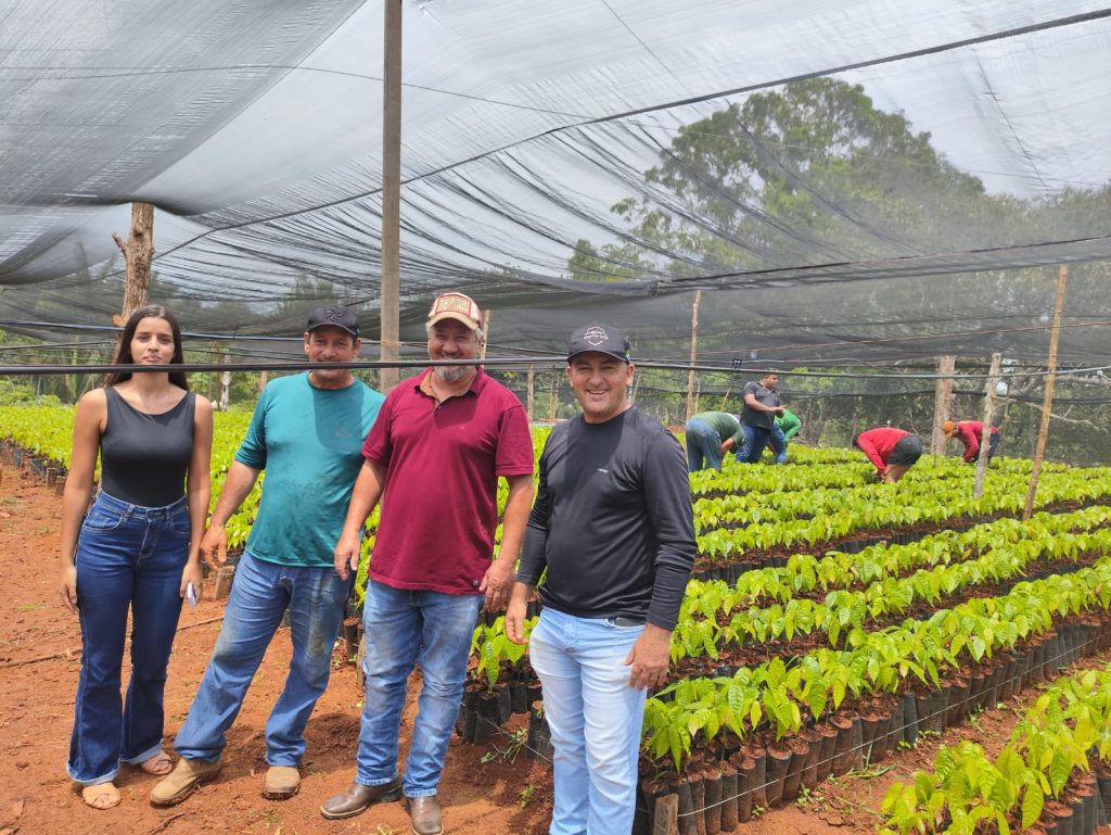 Com apoio do Sistema FAPERON/Senar Rondônia, viveiro comunitário produz 60 mil mudas de cacau 