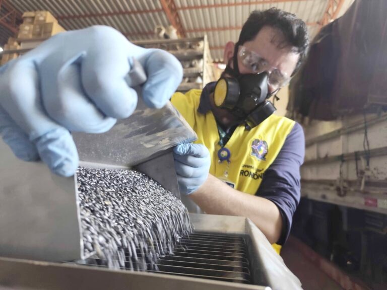 Fiscalização para combater fraudes na comercialização de sementes é intensificada