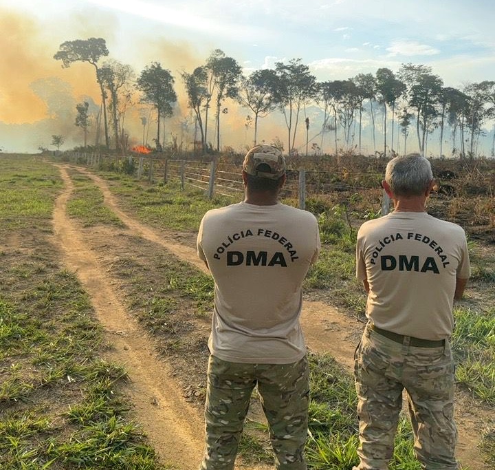 PF prende mulher por incêndio criminoso em área de floresta em Rondônia