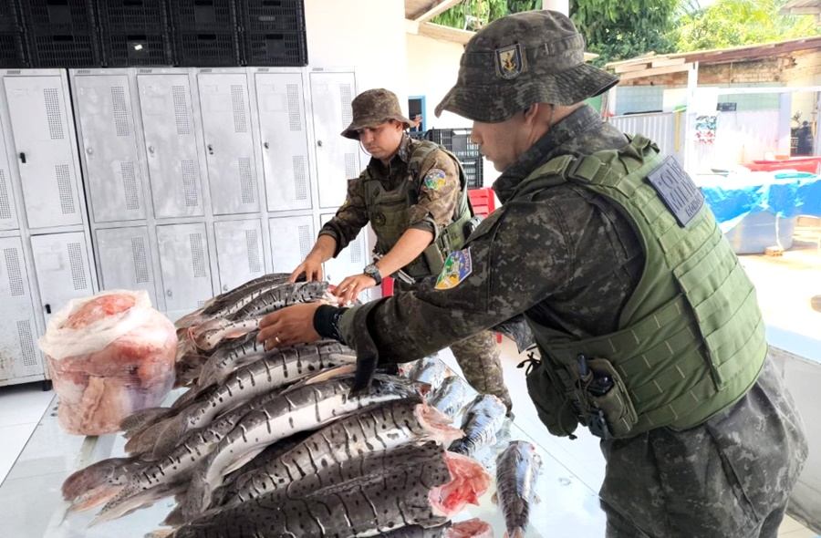 Mais de 200 kg de pescado irregular são apreendidos na BR-364