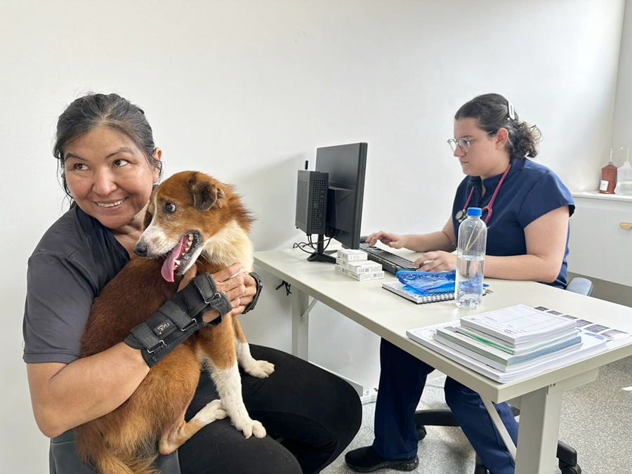 Clínica de Bem-Estar Animal inicia atendimentos com estrutura moderna