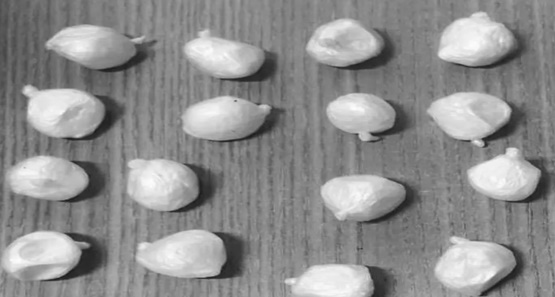 Grávida é presa ao tentar entrar com drogas em presídio de Porto Velho