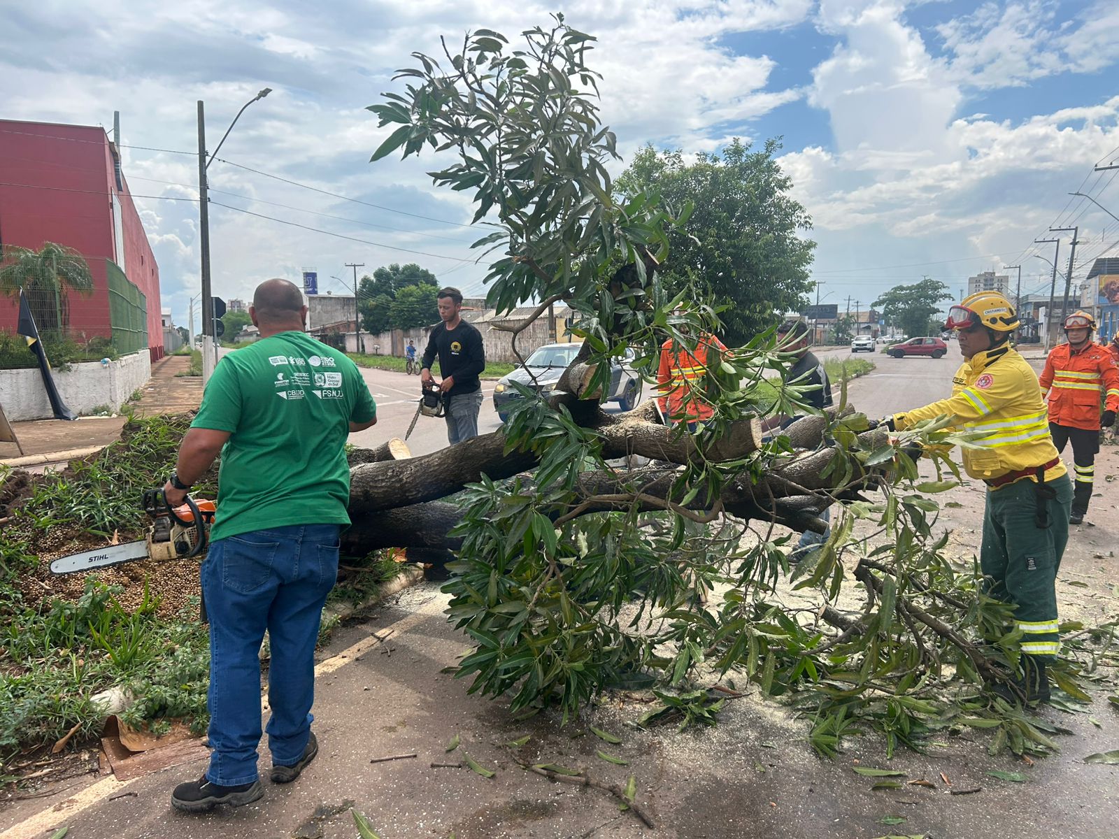 Prefeitura atua com rapidez na remoção de árvores caídas após fortes chuvas e ventos 