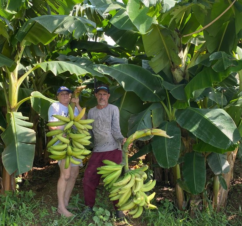 Porto Velho se prepara para receber caravanas de agricultores durante a Agrotec 2025

