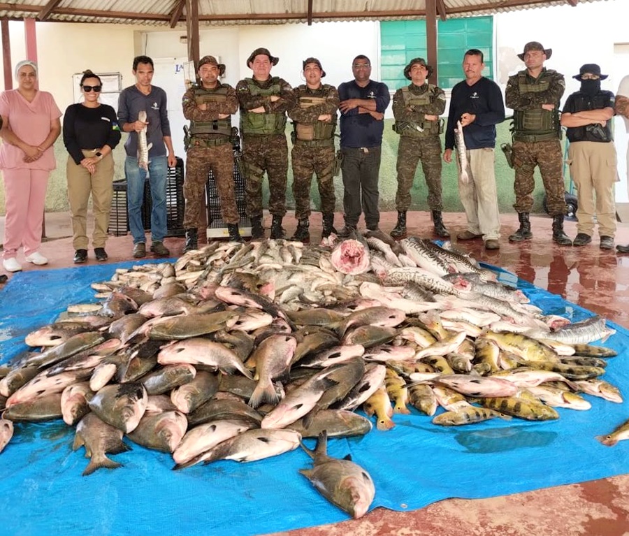 Operação conjunta entre BPA e SEDAM apreende mais de 2,2 toneladas de pescado irregular 