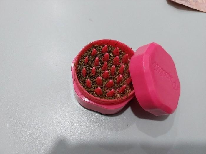 PM de Rondônia prende homem e apreende adolescente com droga em Guajará-Mirim