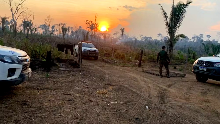 Seis pessoas são presas em grande operação contra crimes ambientais em RO 