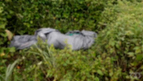 Polícia encontra corpo na área rural de Vilhena e investiga possível segunda vítima