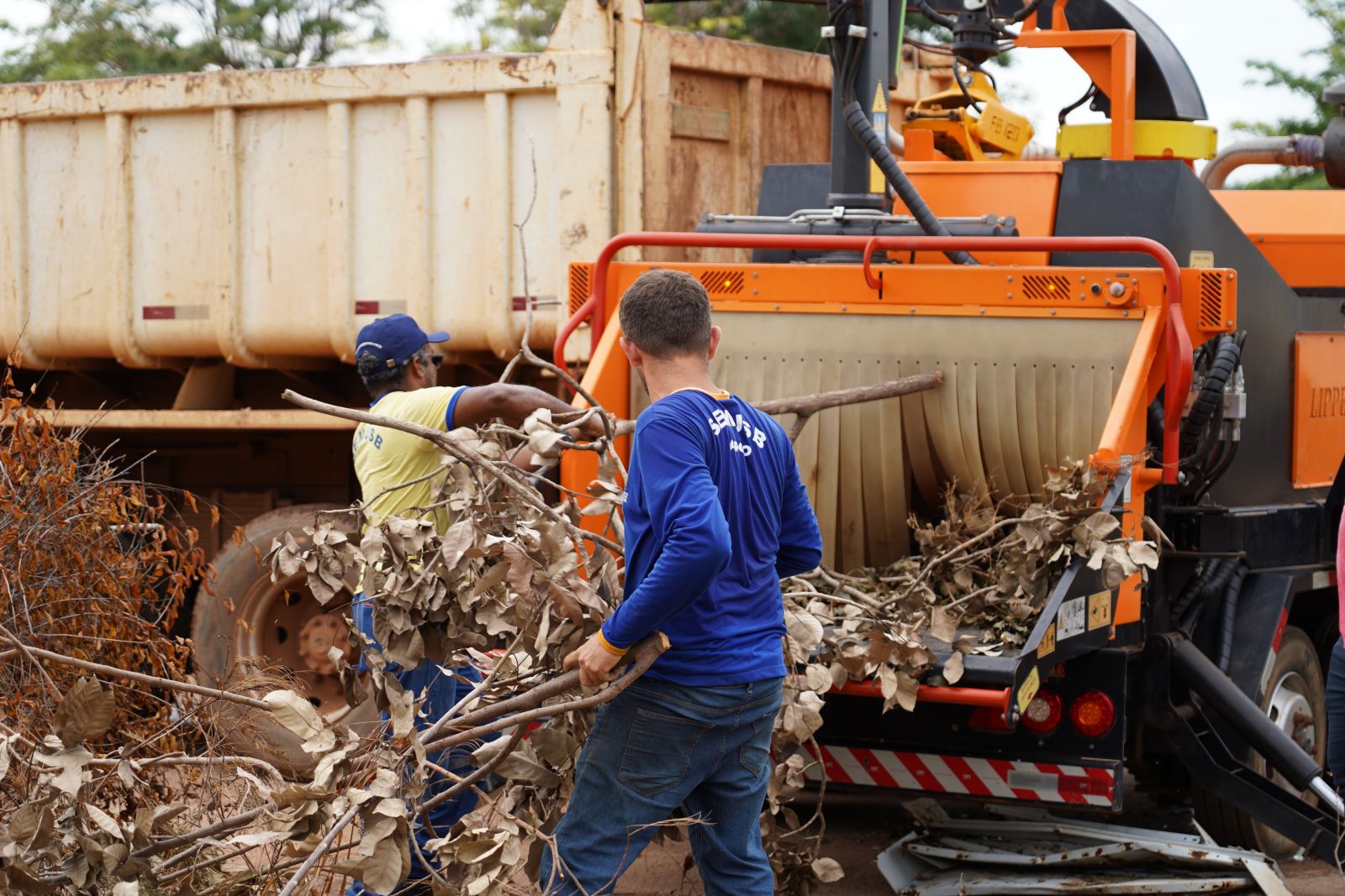 Equipamento transforma restos de poda em recurso sustentável em Porto Velho
