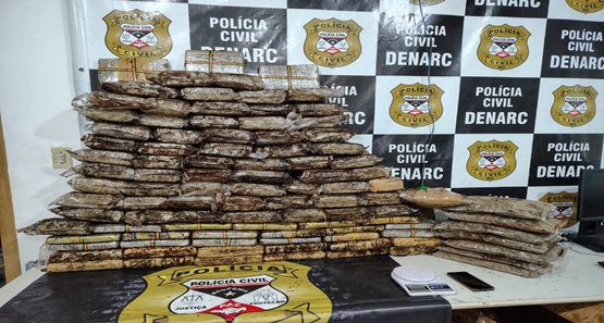 PC desmantela depósito de skunk na capital e apreende mais de 100 kg da droga