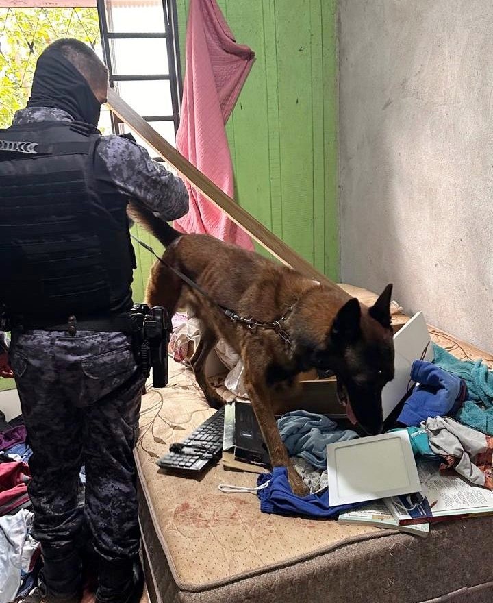 Forças de segurança cumprem  mandados e prendem sete suspeitos durante ação integrada 