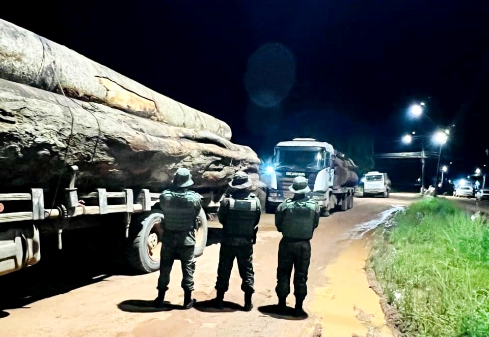 Operação IARA apreende três caminhões por transporte ilegal de madeira em Vista Alegre do Abunã