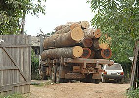 Transporte irregular de madeira gera dano moral coletivo, define STJ
