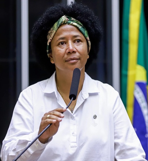 Deputada Sílvia Cristina anuncia audiência para debater desestatização da hidrovia do Madeira