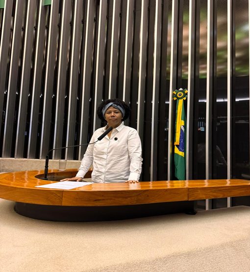 Deputada Sílvia Cristina cobra mais uma vez a votação da PEC 47 da transposição
