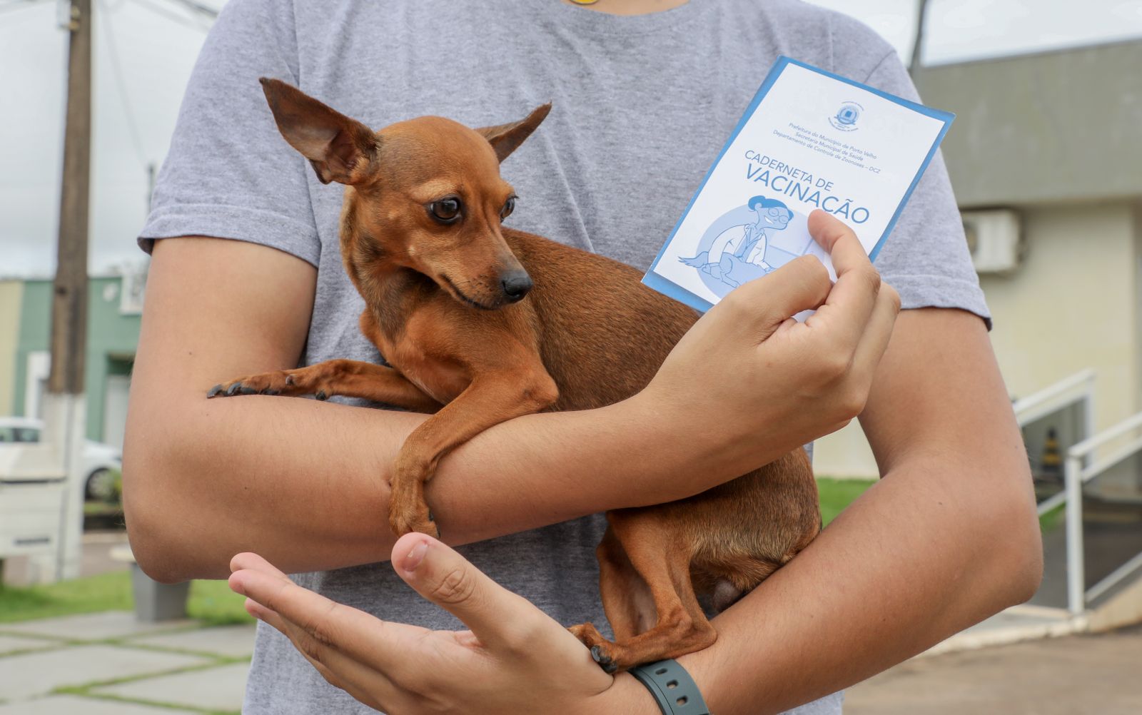 Porto Velho realiza campanha antirrábica no dia 29 de novembro
