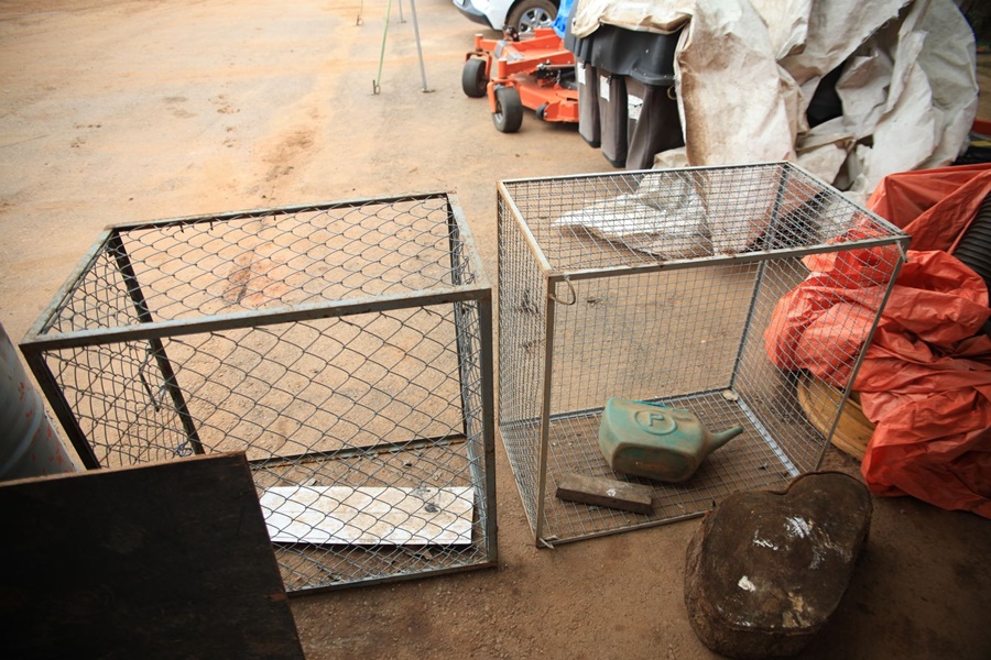 Ampliação de ecobueiros avança e reduz pontos críticos de alagamento na capital