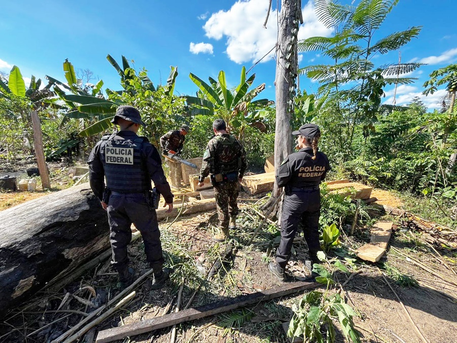 PF deflagra operação contra grilagem e incêndio criminoso em terra indígena em Rondônia