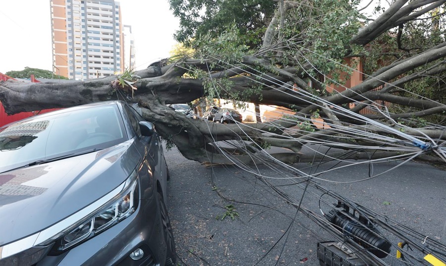 Comércio perde mais de R$ 50 milhões com falta de energia em São Paulo