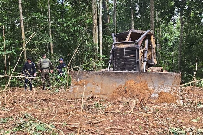 Operação Protetor dos Biomas flagra desmatamento ilegal e apreende trator de esteiras na Vila Samuel