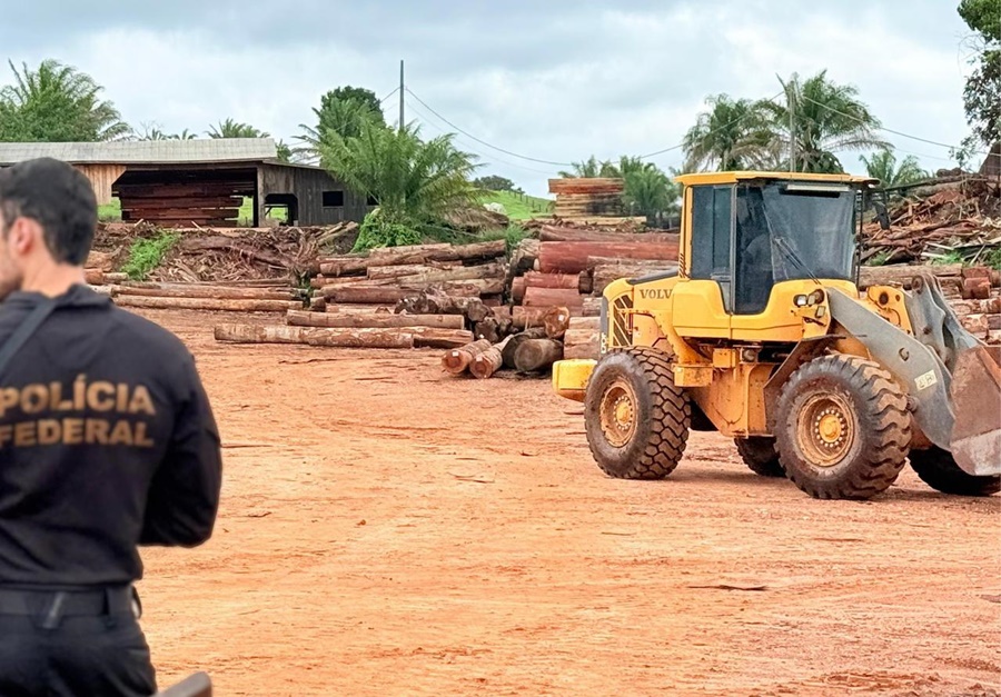 PF e Ibama realizam operação conjunta em madeireiras em Rondônia