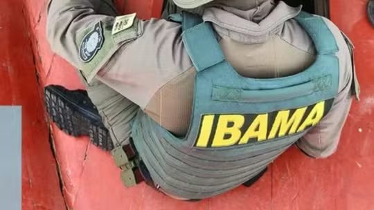 Ibama e Incra abrem inscrições para concursos com salários de até R$ 9,8 mil