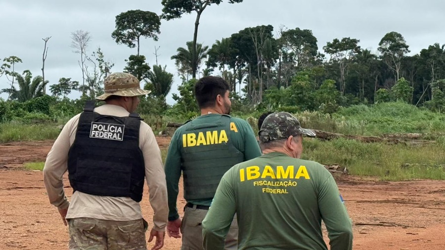 Forças de segurança deflagram operação contra garimpo e madeira ilegal em Rondônia