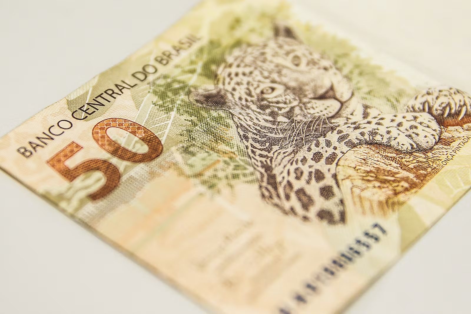 Saiba o que fazer se deixou de receber a segunda parcela do 13º salário
