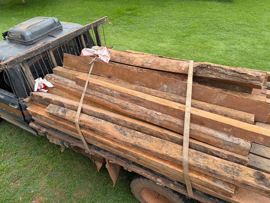 PF, PM, PRF, FUNAI e IBAMA atuam em ações integradas contra extração ilegal de madeira