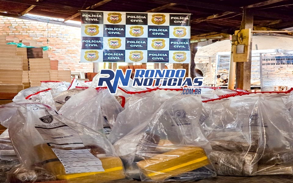 Denarc destrói 450 quilos de drogas apreendidas em operações policiais