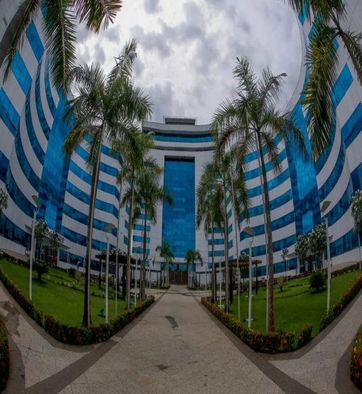 Analistas duvidam de desistência de Rocha e veem dedo de Expedito Júnior na ida do filho ao PT