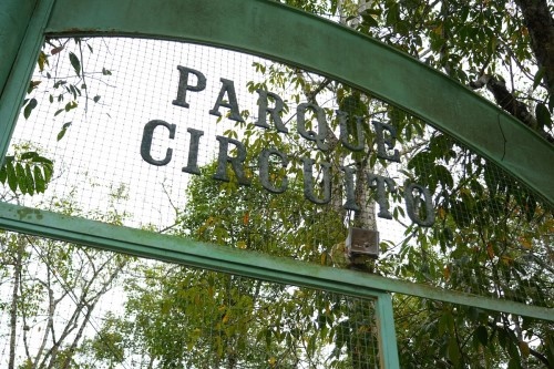 Presença de animais silvestres no Parque Circuito indica preservação da natureza