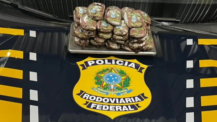 Fiscalização da PRF em Rondônia intercepta quase 4 kg de droga em ônibus na BR-364