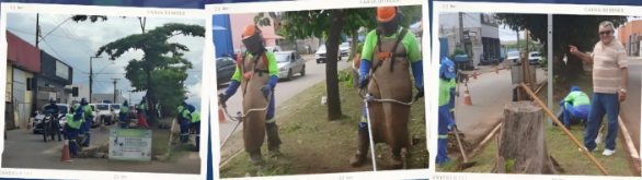 Vereador Júnior Queiroz acompanha limpeza nos canteiros da Avenida Mamoré