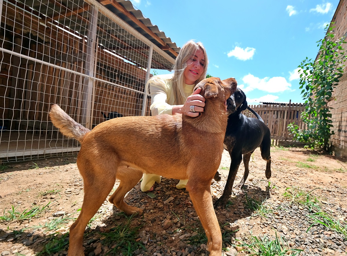 Ieda Chaves obtém aprovação de lei que reconhece tutores voluntários e protege animais
