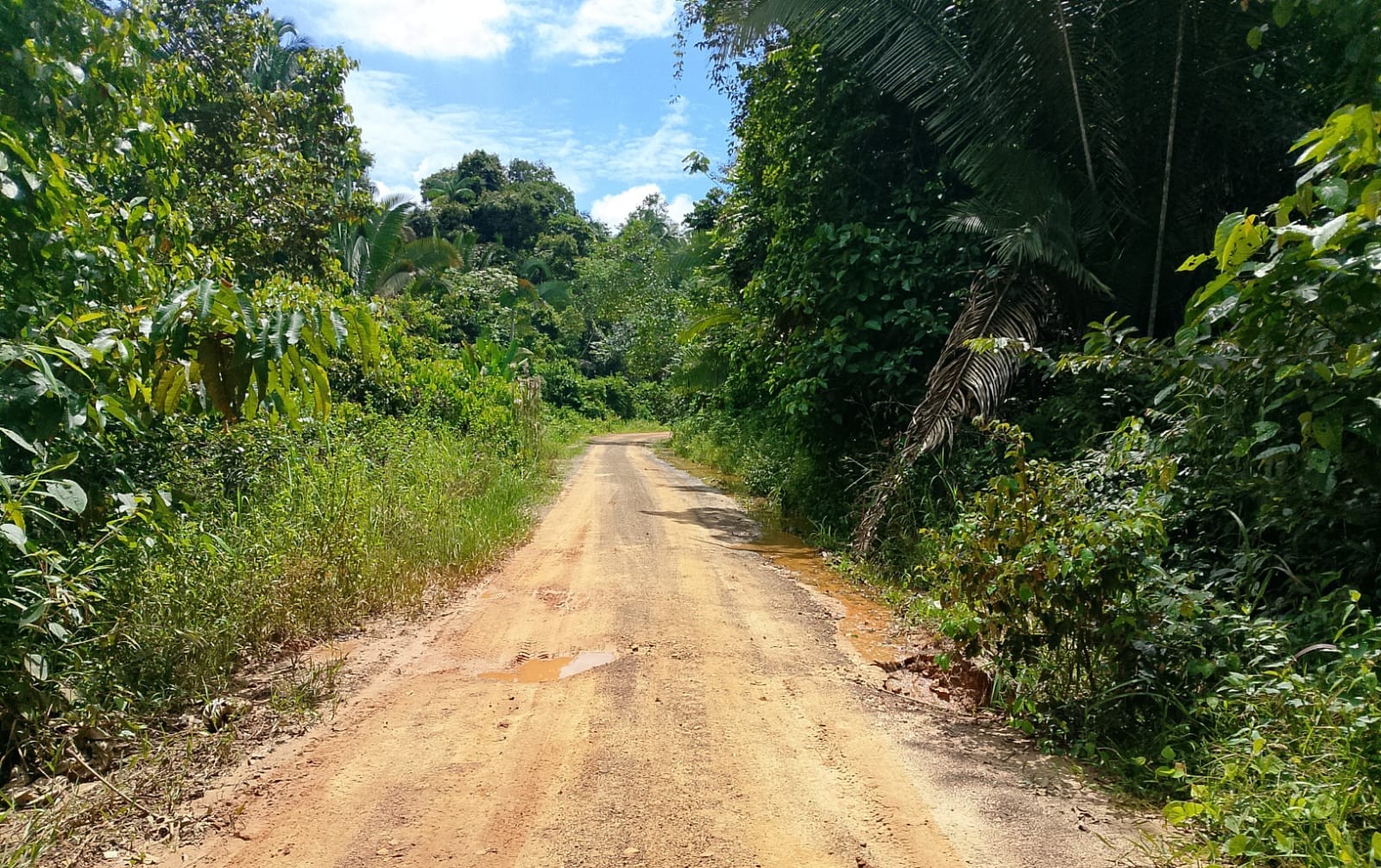 Após vistoria técnica, Prefeitura vai iniciar reparos emergenciais no Ramal do Índio
