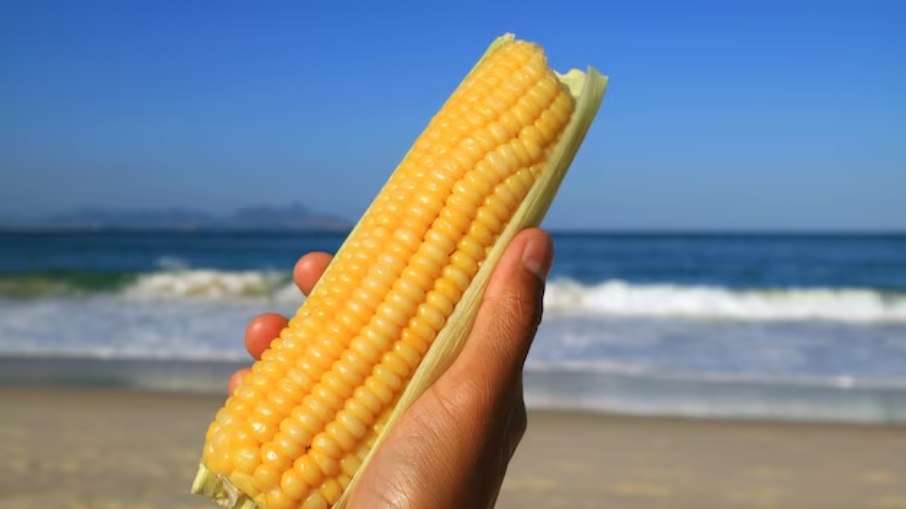 Turista argentina cai em golpe e paga R$ 20 mil por milho em Copacabana no Rio de Janeiro
