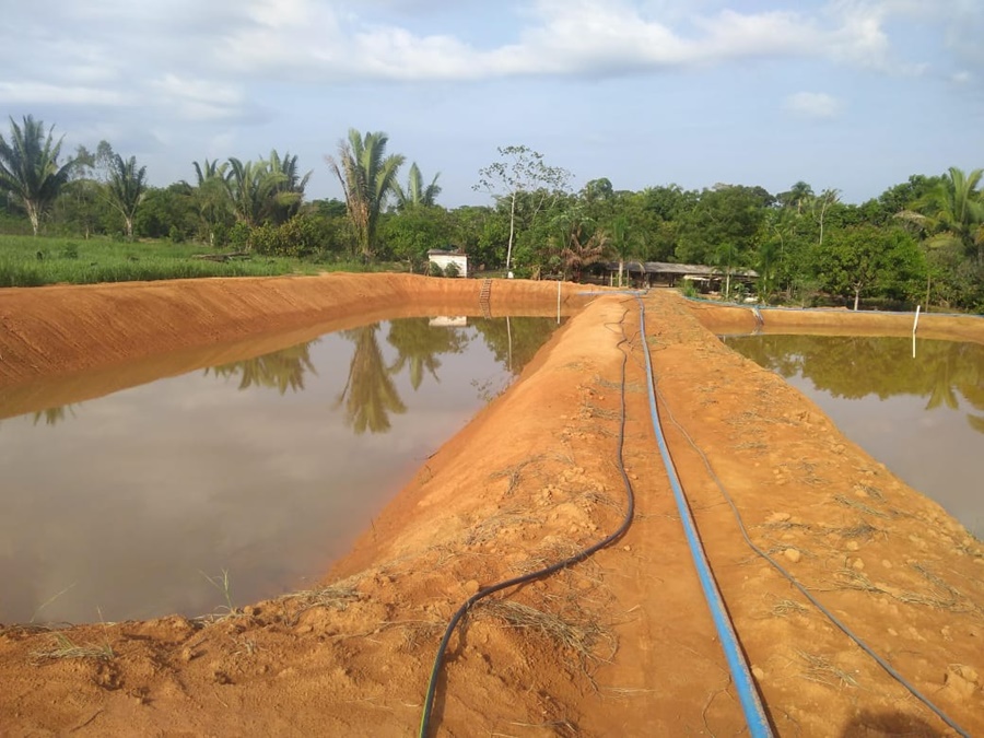 Piscicultura sustentável avança com parceria entre Prefeitura de Porto Velho e Unir
