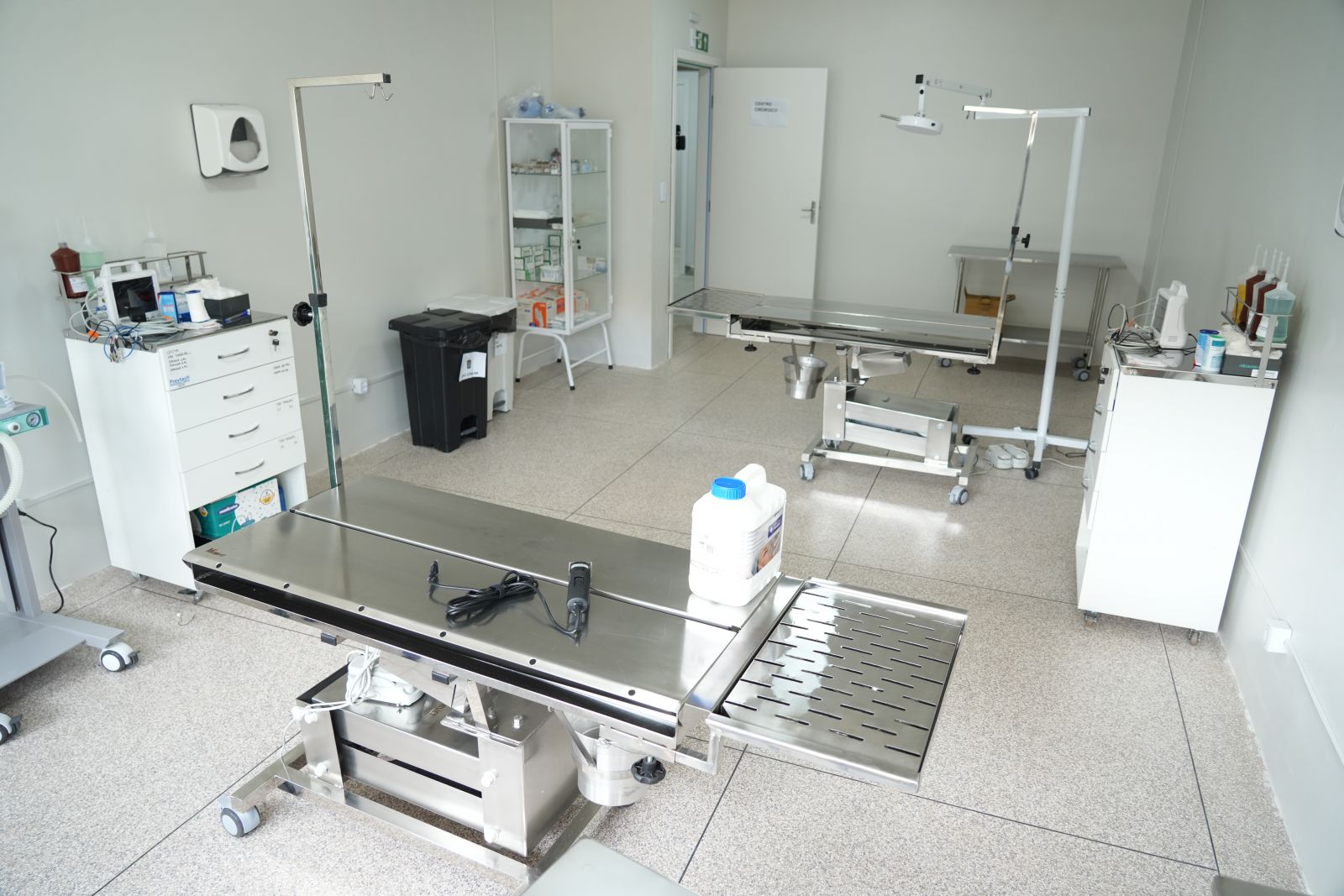 Clínica Animal tem horários especiais durante o Carnaval
