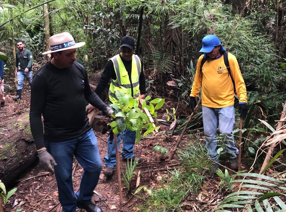 Parceira com a prefeitura ajuda na recuperação ambiental de assentamento em PVH
