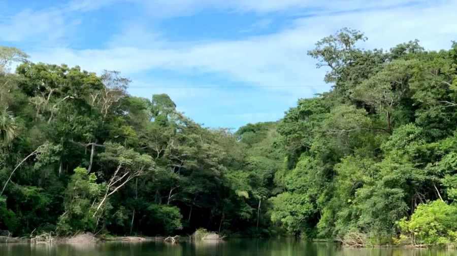 Link para requerimento de regularização ambiental é disponibilizada pelo governo de RO