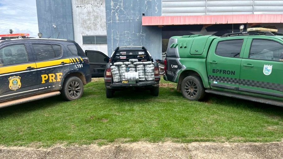 Operação Protetor das Divisas apreende mais de 42 kg de maconha e prende quatro em Nova Brasilândia