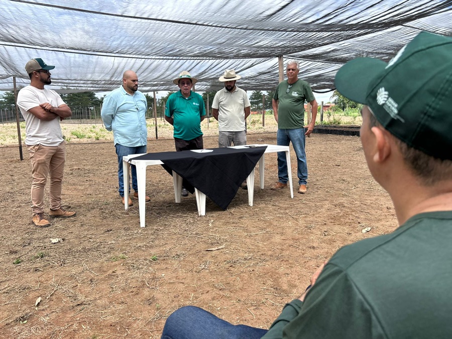 Acordo impulsiona produção de mudas de cacau com assinatura do Fomenta Cacau do SENAR