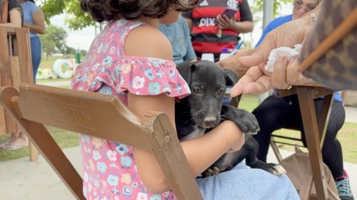 Adoção de cães e gatos é sucesso em feira realizada pela prefeitura