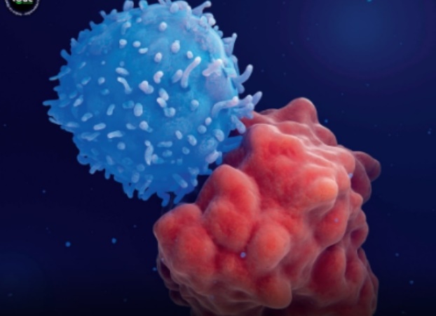 Cientistas descobrem como ativar sistema imunológico contra o câncer