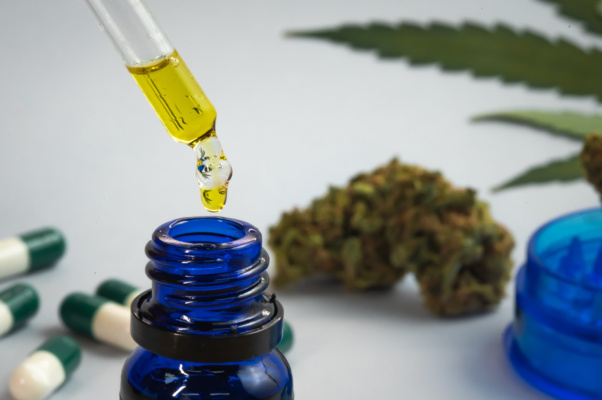 Direito à saúde justifica extensão de salvo-conduto coletivo para uso de cannabis
