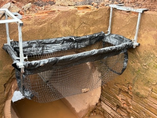 Ecobueiros entram em fase decisiva e passam por testes de resistência